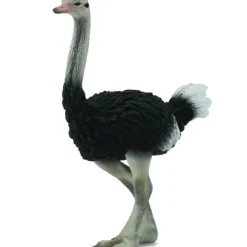 Collecta - Ostrich