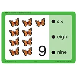 Educational Insights - Hot Dots - Phonics Flash Cards Reading Readiness - Grade K
