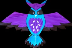 High as a Kite - Owl Kite