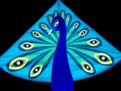 High as a Kite - Peacock Kite