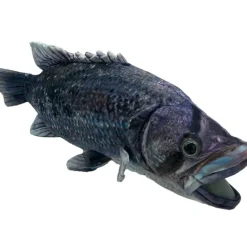 Huggable - Drake Dhufish