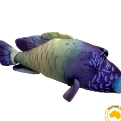 Huggable - Wrasse Fish