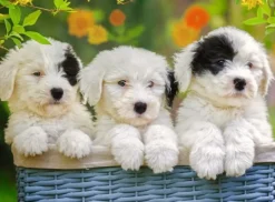 Ravensburger - 200Pc Cuddly Puppies Puzzle