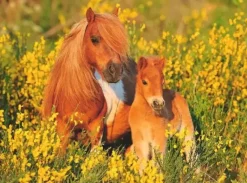 Ravensburger - 100Pc Shetland Ponies Puzzle