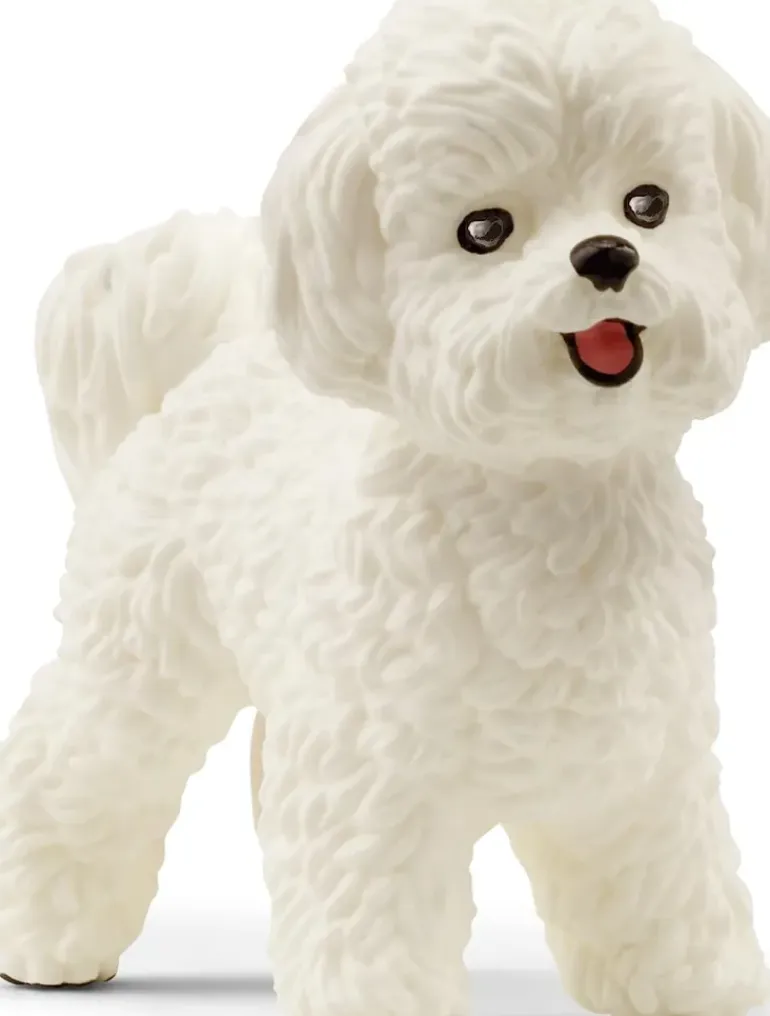 Schleich - Bichon Frise