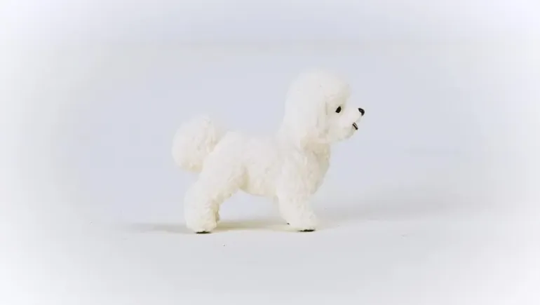 Schleich - Bichon Frise