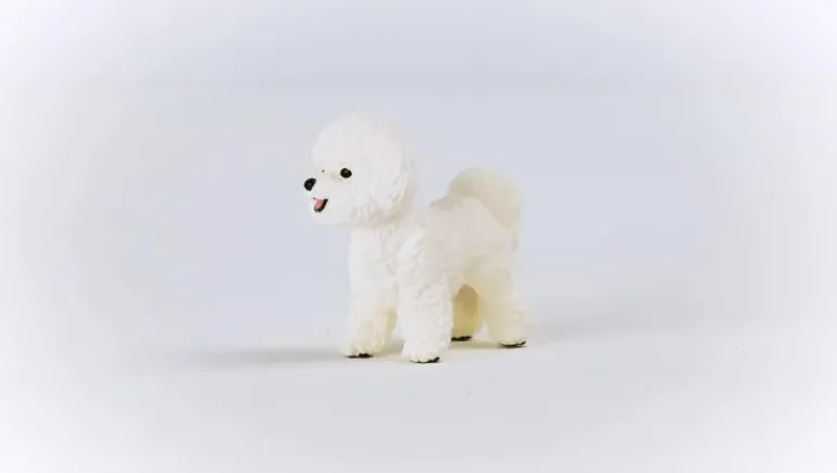 Schleich - Bichon Frise