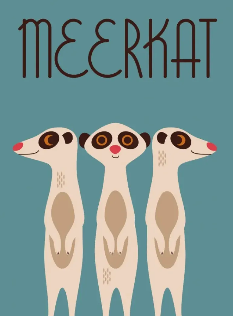 Animals (Hard Back)
