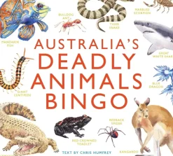 Brumby - Bingo - Australia's Deadly Animals