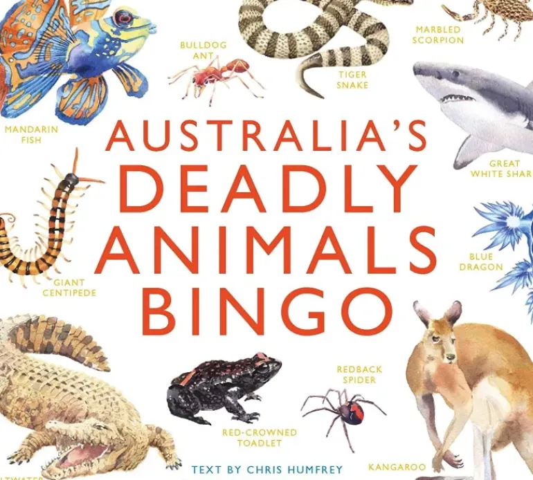 Brumby - Bingo - Australia's Deadly Animals