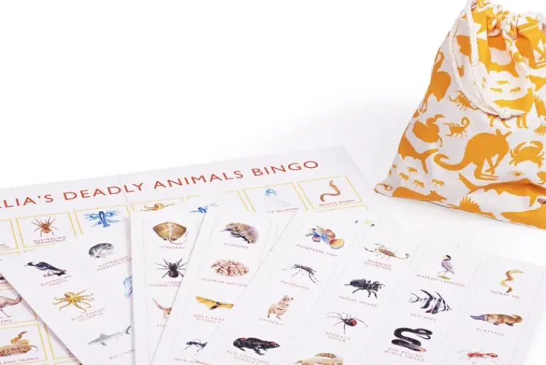 Brumby - Bingo - Australia's Deadly Animals