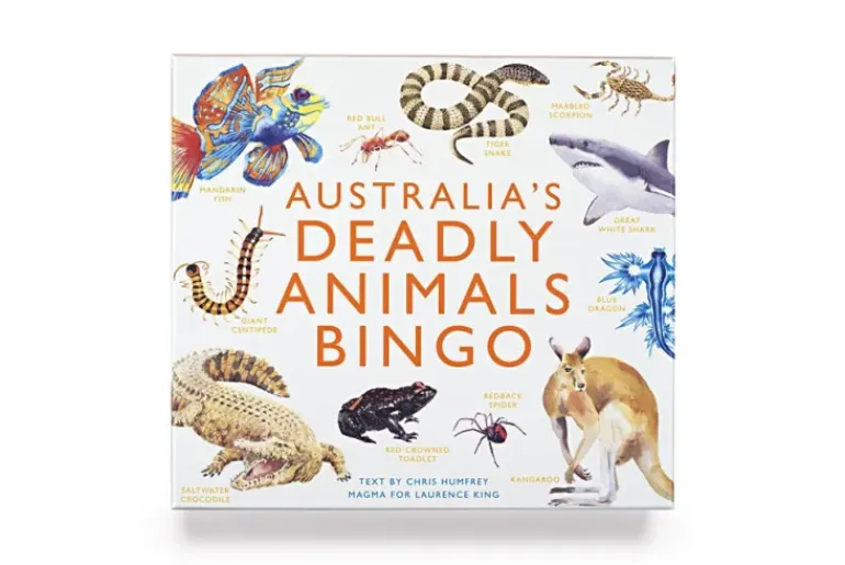 Brumby - Bingo - Australia's Deadly Animals