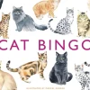 Brumby - Bingo - Cat