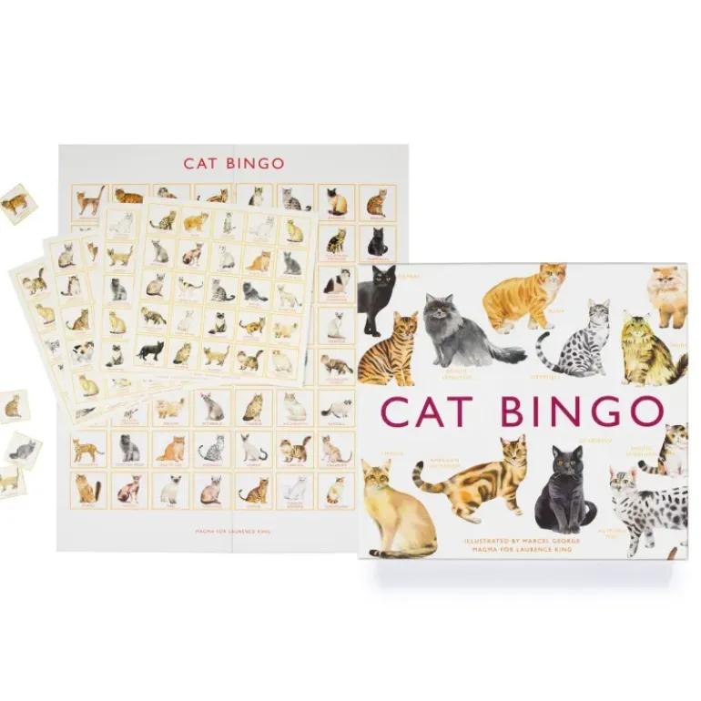 Brumby - Bingo - Cat