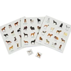 Brumby - Bingo - Dog