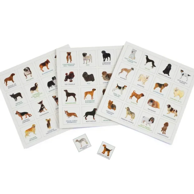Brumby - Bingo - Dog