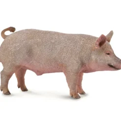 Collecta - Boar