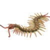 Collecta - Centipede