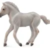Collecta - Fjord Foal Grey
