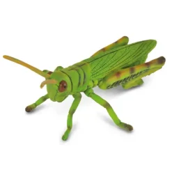 Collecta - Grasshopper