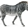 Collecta - Grevys Zebra