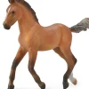 Collecta - Hanoverian Foal Bay