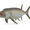 Collecta - Ixphqactinus