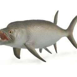 Collecta - Ixphqactinus