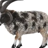Collecta - Jacob Sheep