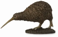 Collecta - Kiwi