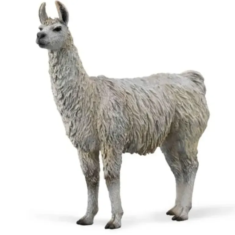Collecta - Llama