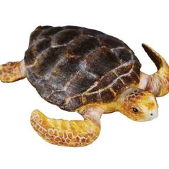 Collecta - Loggerhead Turtle