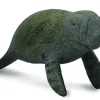 Collecta - Manatee Calf Swimming