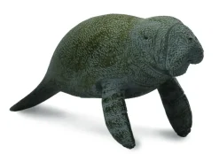 Collecta - Manatee Calf Swimming