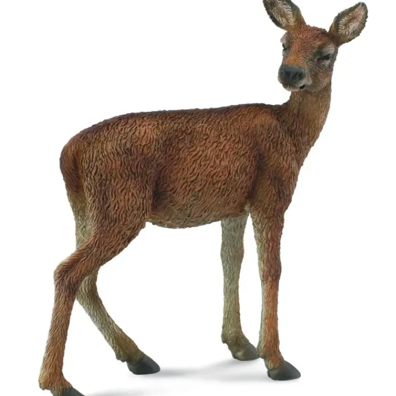 Collecta - Red Deer Hind (M)