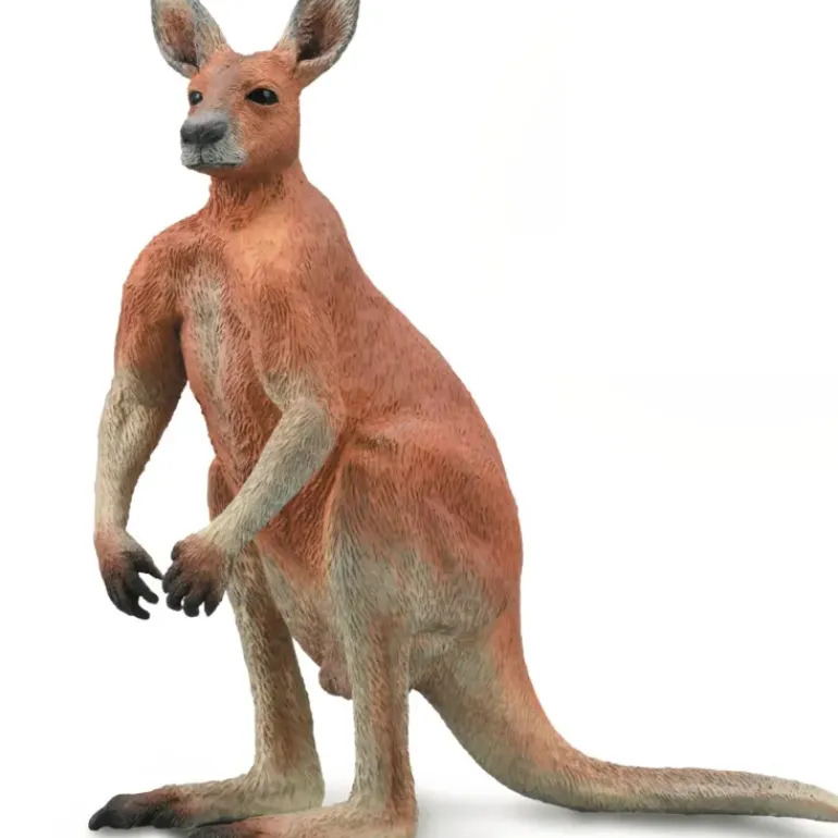 Collecta - Red Kangaroo Male