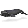 Collecta - Right Whale