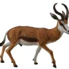 Collecta - Springbok