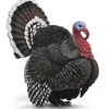Collecta - Turkey