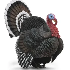 Collecta - Turkey