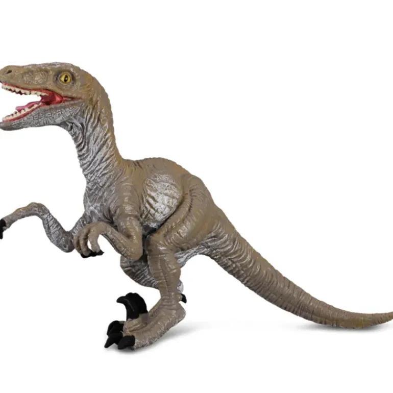 Collecta - Velociraptor
