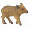 Collecta - Wild Piglet Walking