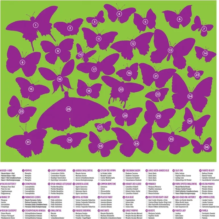 Crocodile Creek - Puzzle Canister 100pcs - 36 Butterflies