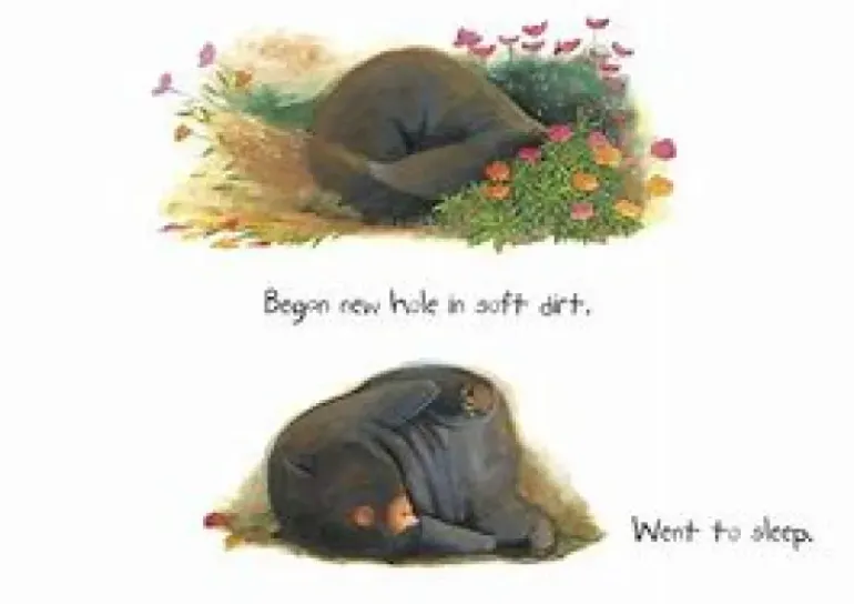 Diary of a Wombat (Board Book)