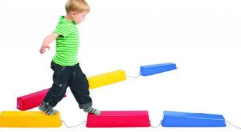Educational Experience - Step-a-Logs