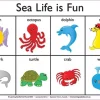 Edvantage - Placemat - Sea Life is Fun