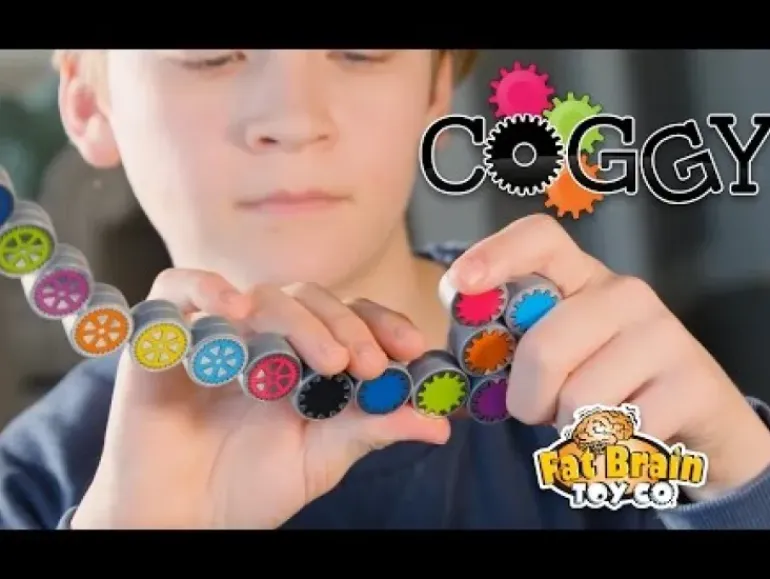 Fat Brain - Coggy
