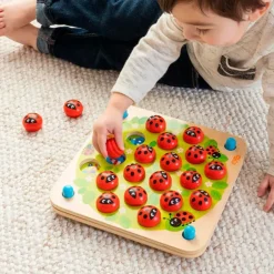Fat Brain - ladybug Memory Game