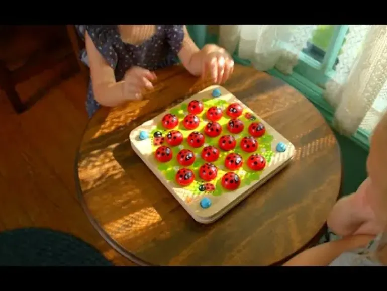 Fat Brain - ladybug Memory Game