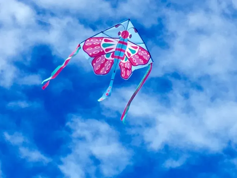 High as a Kite - Beautiful Butterfly Kite